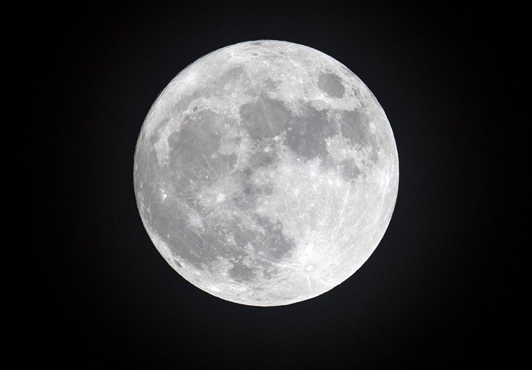CamerynOrr's tweet photo. luna // luna https://t.co/FzQS8v1TPm