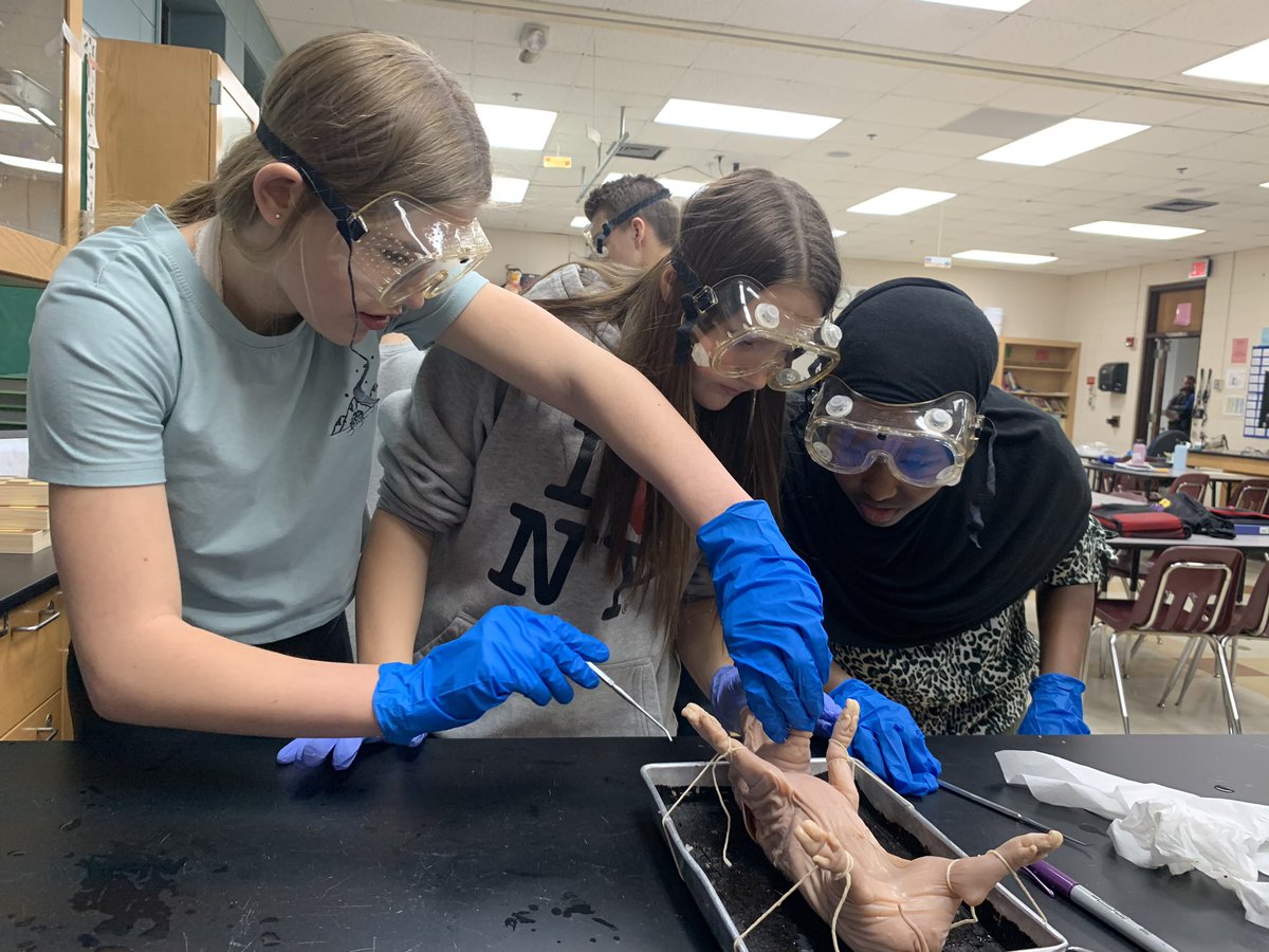 Science exploration at its best!!! Future surgeons! <a href="/ISD112/">E Carver Co Schools</a> <a href="/Weststarcenter/">CMSW</a>