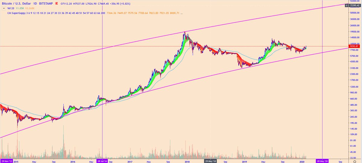 Crypto_BitC's tweet image. Super Guppy does a test flip if history repeats itself. 

$BTC does what it wants