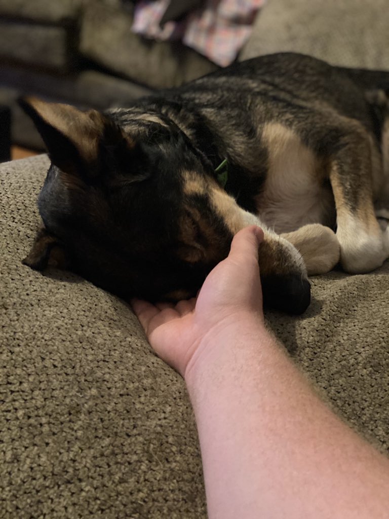 AddisonBrothers's tweet image. SHE IS BEAUTY, SHE IS GRACE. 
SHE ALWAYS LOVES, A WARM EMBRACE. 

#adventuresofaretiredsleddog