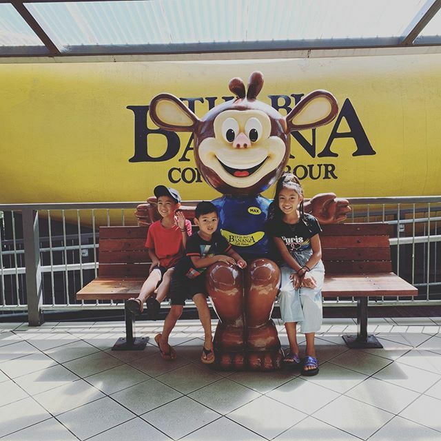 HernanHullana's tweet photo. Obligatory stop at the Big Banana. #holidayblues #onedayin https://t.co/Fs6WIL64O7 https://t.co/MKrb6tJkXt