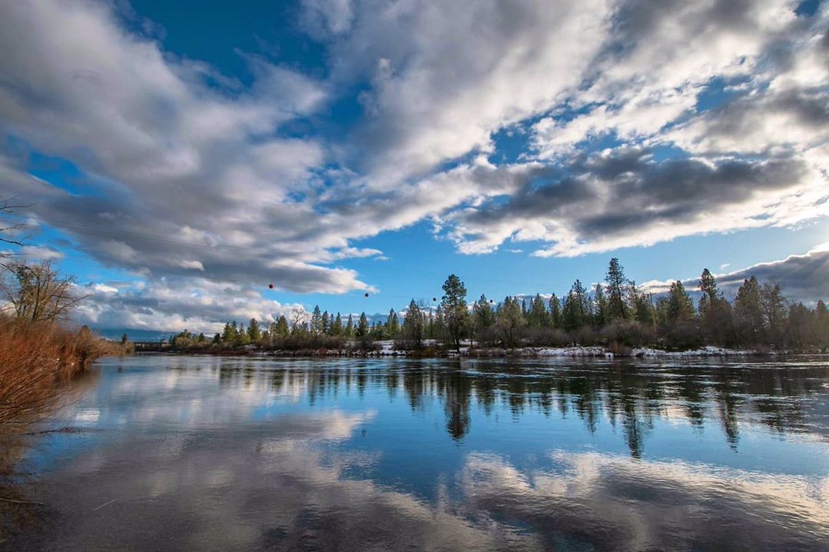 SpokanePulse tweet media