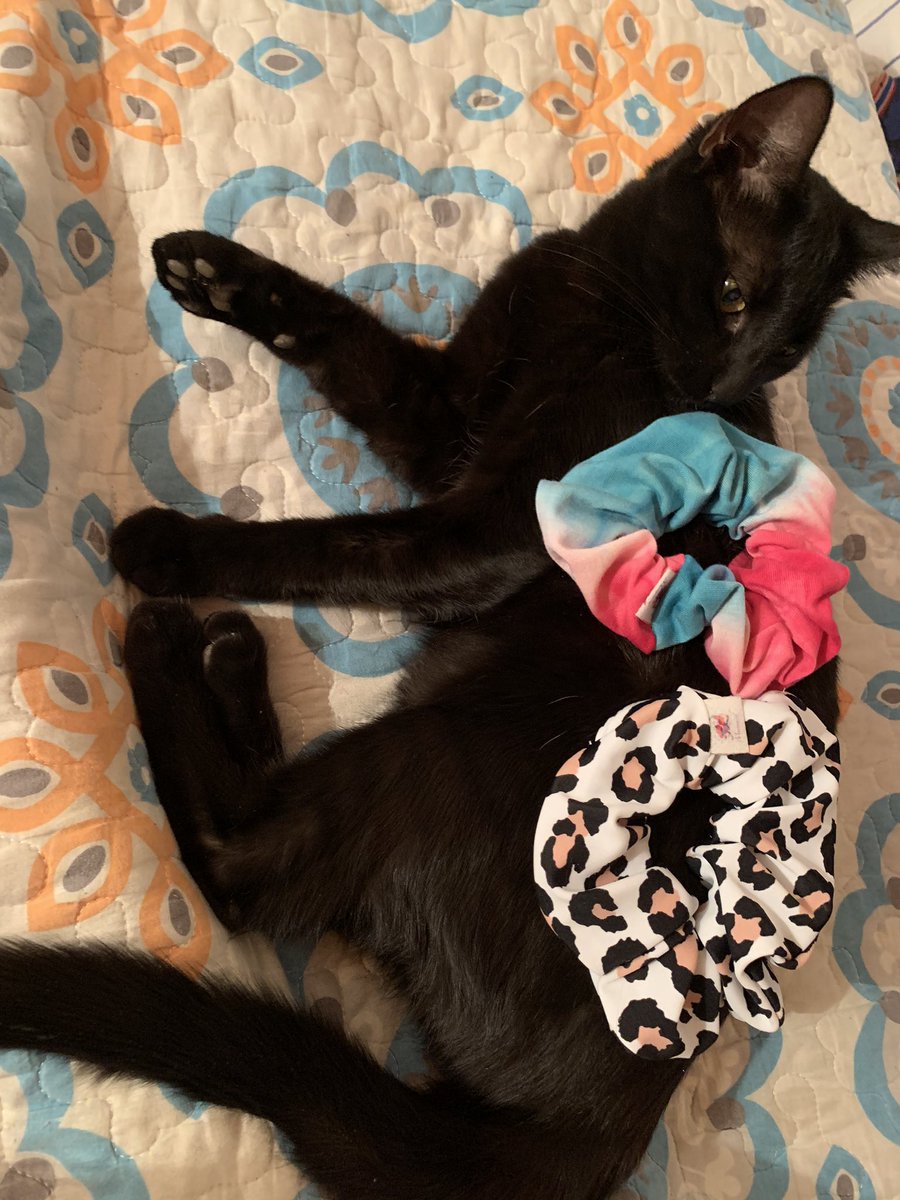 Soy la buena modelo de Scrunchies 💕💕 <a href="/gatitos_qctd/">✨ Gatitos que curan tu depresión ✨</a>