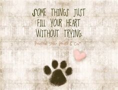 lpcoac's tweet photo. https://t.co/ZFy7lExGBT
