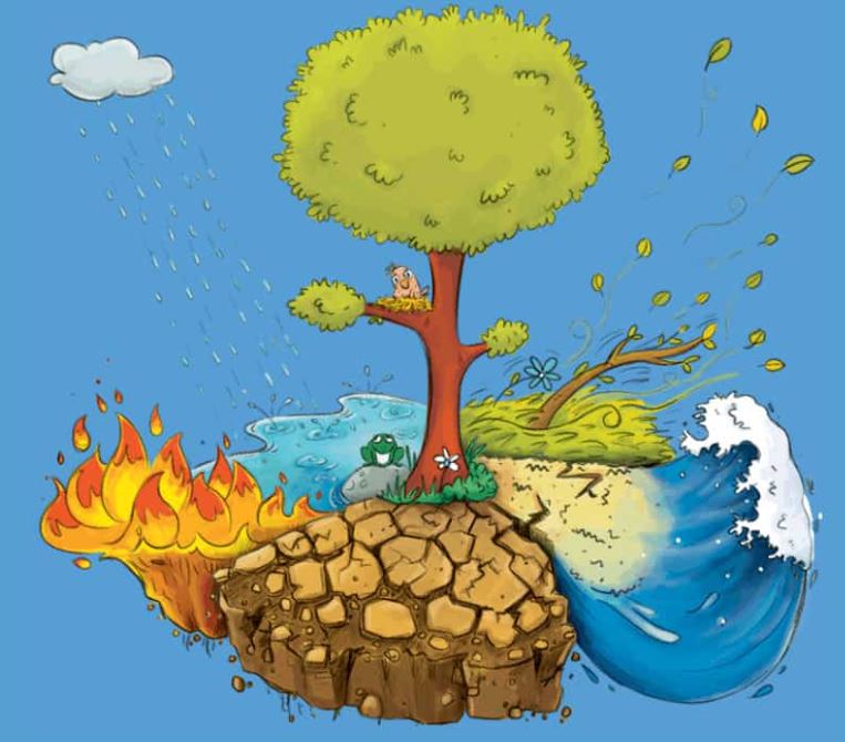 Image shows a tree from a story book.