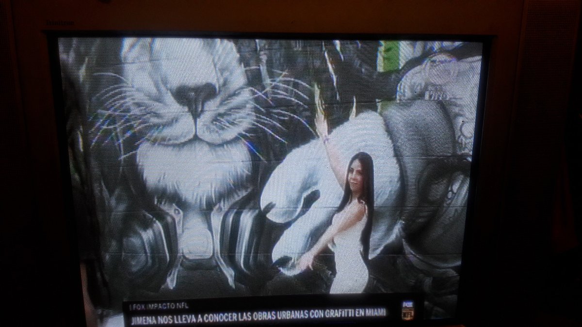 yaguemx's tweet photo. Gran capsula de #InsideMiami para @FOXImpactoNFL @FOXSportsMX a cargo de la guapa y talentosa @jimenaofficial de #WynwoodWalls extraordinarios y muy buenos murales gran arte urbano ππ Excelente trabajo Jime https://t.co/ZImG1ayLAe