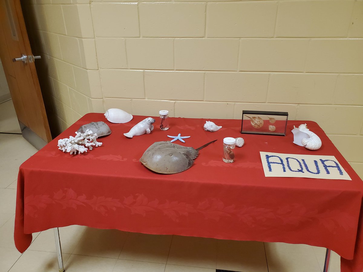 EleetaSue's tweet photo. Thanks for a great Sneak Peek, future CUDAS!  #WelcomeToTheTank! #NSBHS https://t.co/9aG5AUcouM