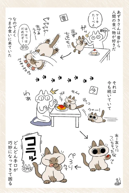 その小芝居どこで覚えたの? #シャム猫あずきさんは世界の中心 