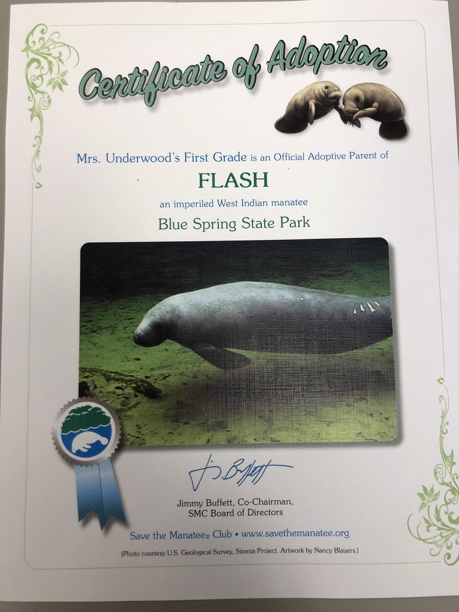 After reading “At Home in the Ocean”, our class decided to adopt a manatee.