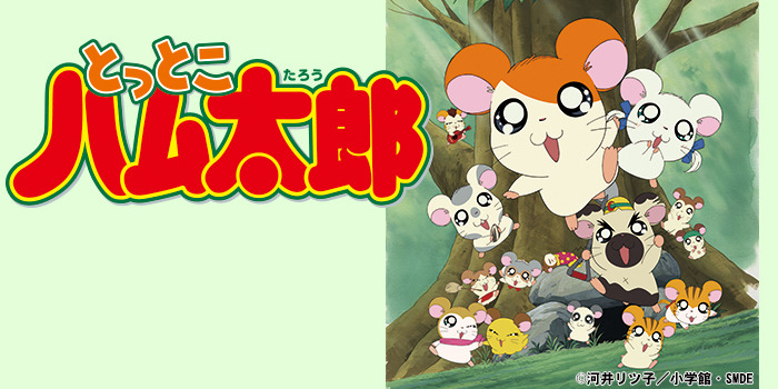 チバテレ 公式 17 00 とっとこハム太郎 とっとこ捜すぞ 消えたクツ をお届けするよ T Co Xfyndo43qb チバテレ とっとこハム太郎 T Co Emqzmclstq Twitter