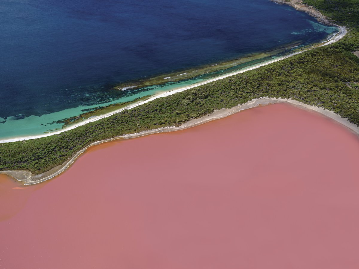 🎨 Colour up your life! 🎨 The high level of salinity is what gives the remarkable #LakeHillier in the <a href="/Golden_Outback/">Aus Golden Outback</a> its unusual hue. Its vibrancy changes with the seasons and time of day—head out before sunset and watch the colours transform! 💙❤️💜: bit.ly/38repNl
