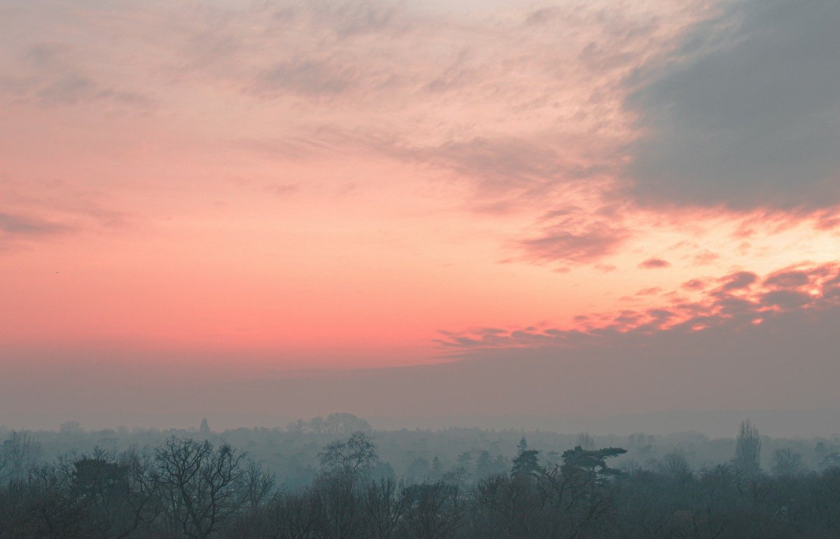 RonGS_'s tweet image. Le paysage est pas mal non plus #fondationlouisvuitton