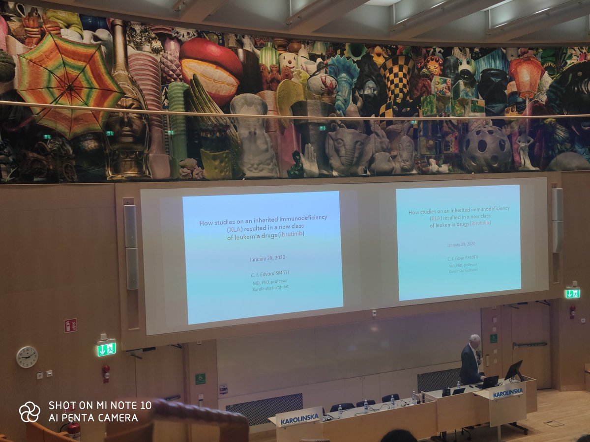 _RaquelVaz_'s tweet photo. Young Researchers in Hematology symposium starting now! #YoungResearchers #hematology #karolinska https://t.co/2DGnfBBaIn