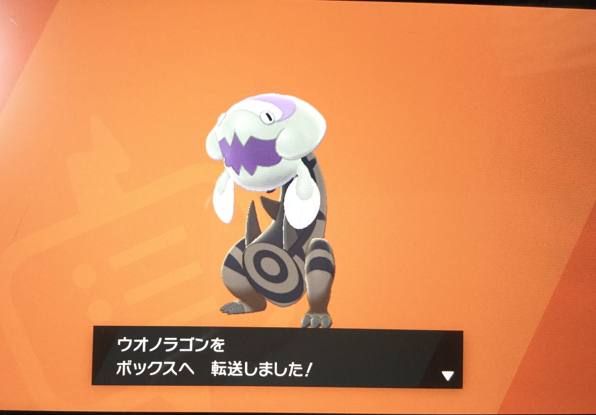コリー Code 404 ポケモン剣盾 化石色違い 剣盾初の色違いは化石ポケモンのウオノラゴン 慎重な性格なのでレベル上げてハーブ使います T Co Nw4ufzpczo Twitter