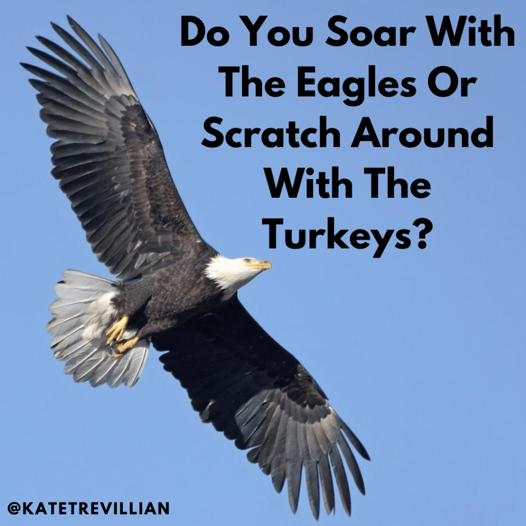 KateTrevillian's tweet photo. Do You Soar With The Eagles Or Scratch Around With The Turkeys? https://t.co/XhWchOrzeM https://t.co/hEkElN1iI7