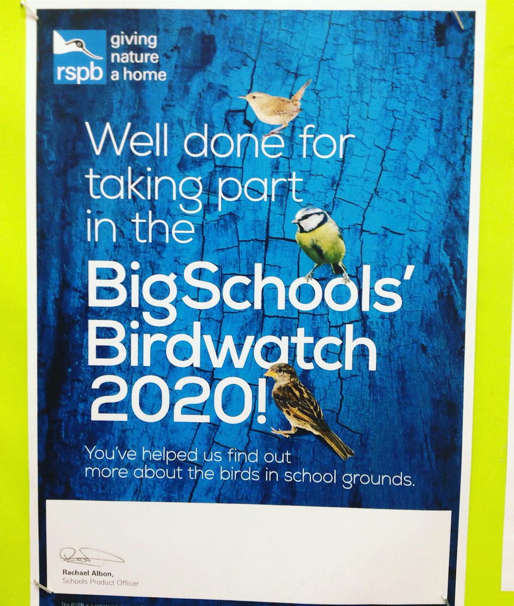 oxfordhighprep's tweet photo. We are delighted to receive our #RSPB Schools’ Birdwatch 2020 certificate. @oxfordhighprep alongside members of @OHSPrep_Nature counted birds that landed on our #bird feeder #birds #birdwatching #schoolspirit https://t.co/VvJwkW0rG1