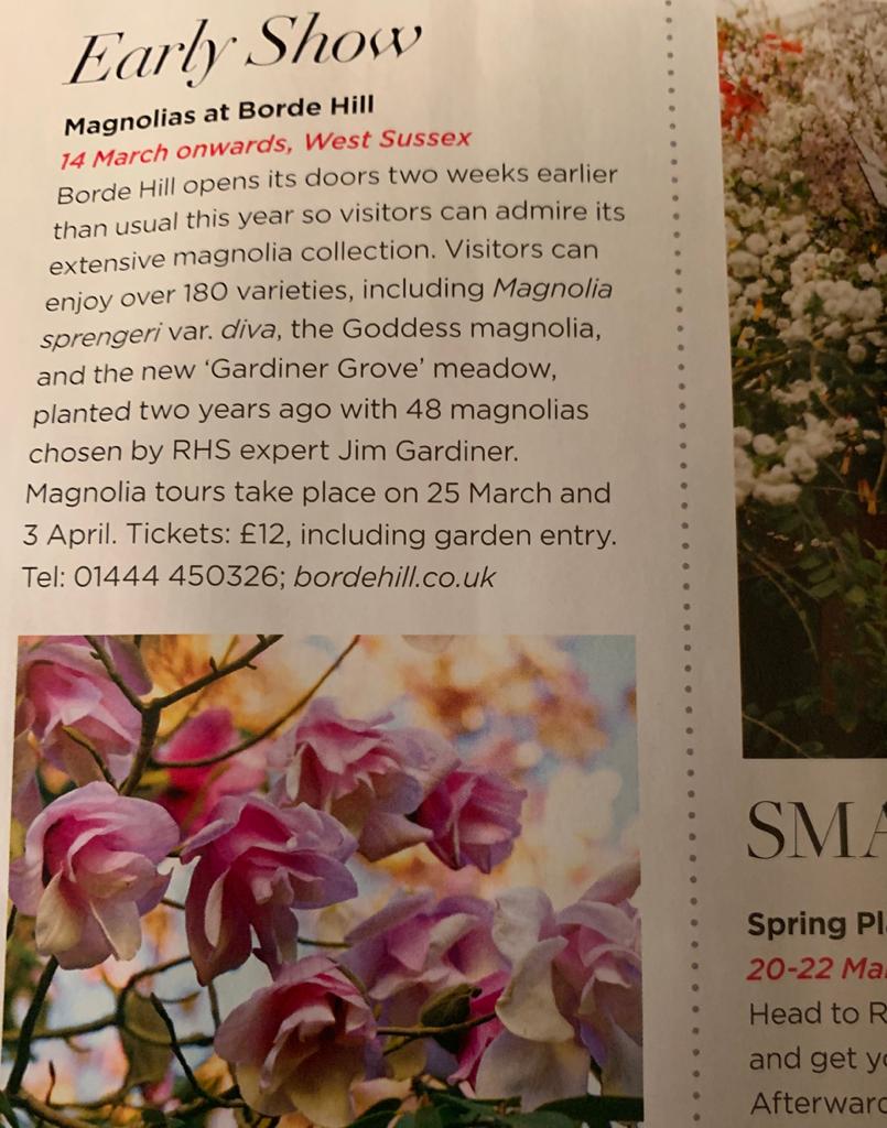 Look out for the feature on magnolias <a href="/bordehillgarden/">Borde Hill Garden</a> in the Places to Go section of the latest edition of The English Garden Magazine <a href="/TEGmagazine/">The English Garden</a>. #magnolias #TEGmagazine