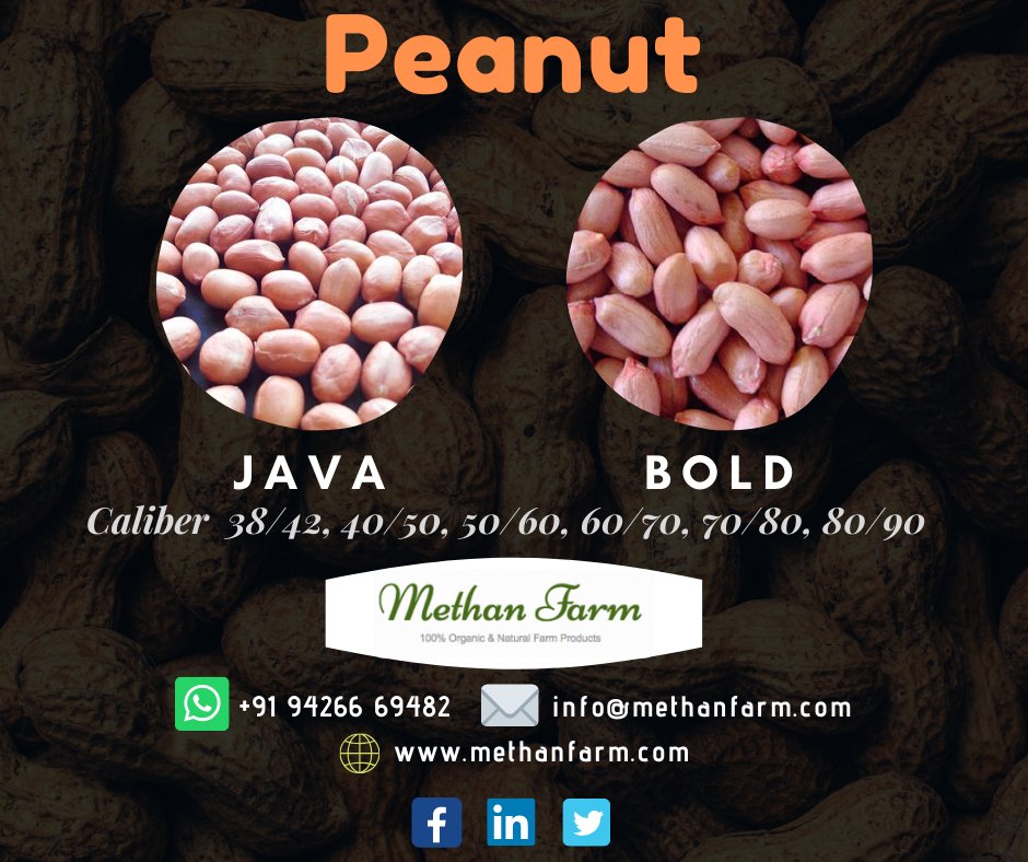 methanfarm's tweet photo. Best in Quality Peanut Available.
WhatsApp Number :- + 91 - 9426669482
Please contact us at :- info@methanfarm.com,
For more Information Please visit us :- https://t.co/ZbdYlKcHaf

Thank You.
__
#agriculture #export #farm #groundnut #Peanut #indianpeanut #Boldpeanut #javapenut https://t.co/pnN59SJTSD
