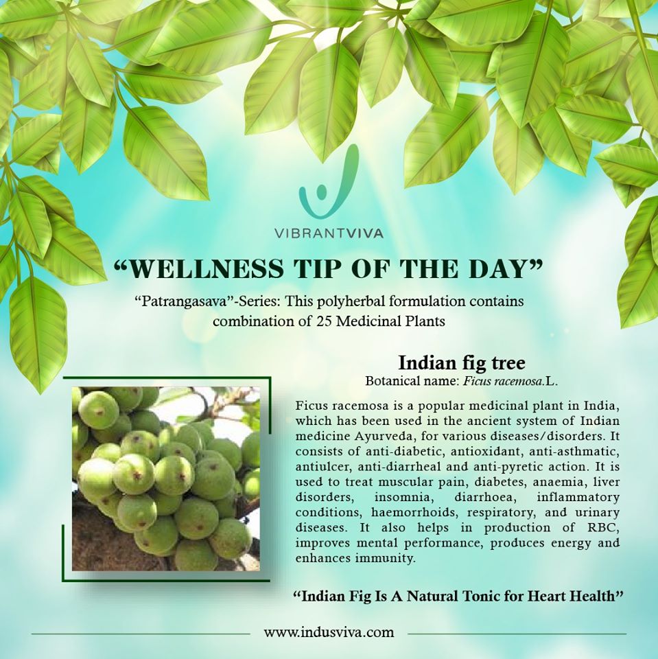 IndusvivaPvt's tweet photo. Wellness Tip of the Day
#wellness_Tip #healthytips #healthydiet #healthydiet #healthyfood #healthylifestyle #medicinalplants #indusviva #vibrantviva https://t.co/2osd4Yhlxj