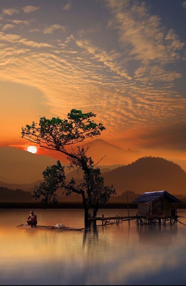 INSTINC26289171's tweet photo. #photography #naturaleza #Artistic #Divine #Distinct #Art #FineArt #Mesmeric #Expression #GoodVibes #Humour #EyeNature
#Smart #Sleek #Sweet #Smile #Love #Awesome #Creativity #Mindset #LifeLessons #NaturePhoto #Nature
#Protect #Preserve #wildlife
#BEAUTIFUL NATURE
""PHENOMENA"" https://t.co/vyLSZjVSDR