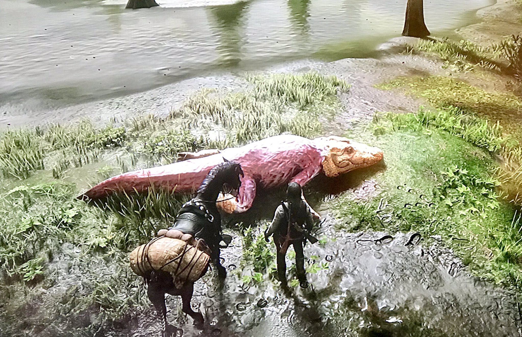 はるまき でっけえワニ剥いてやった Rdr2 Reddeadredemption2 レッドデッドリデンプション2 伝説の動物 T Co Admukxhoe3 Twitter