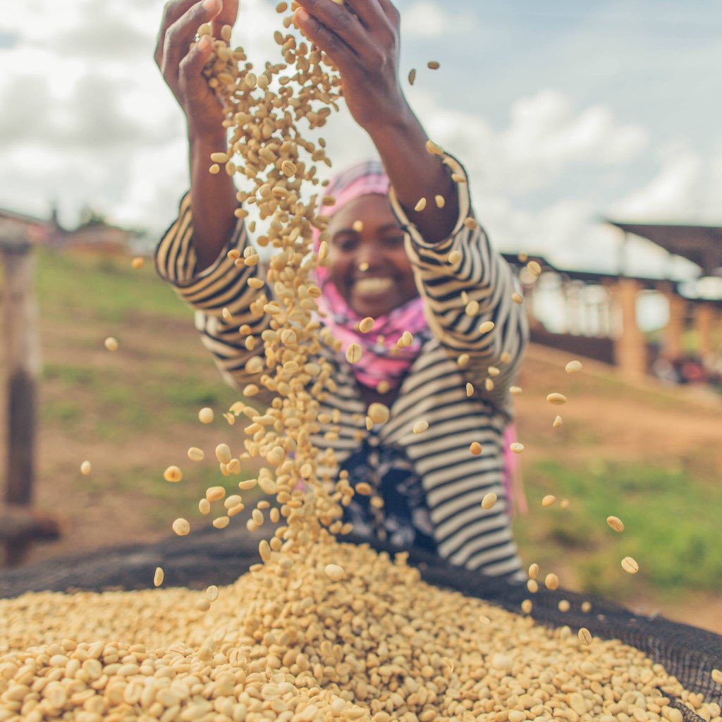 afrocoffeetrade's tweet photo. We are still celebrating 3 years of existence. Visit https://t.co/lLL4b0VfBr to grab your coffee https://t.co/n2PmfAXSVn