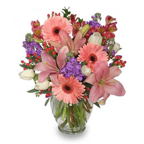 captainshop1's tweet photo. Flowers are for the soul, we at Captain Shop would be the right #same_day_flower_delivery option also . We do #flower_delivery_Sydney.

Visit :- https://t.co/IAPRbpyts4 https://t.co/RBEojnBHqh