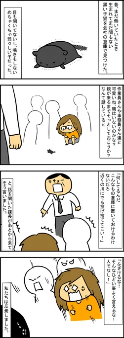 #野良猫から完全室内飼育になった猫 ってタグを見て昔描いた漫画が過ぎった。
とある猫との出会い① 