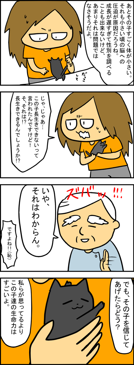 とある猫との出会い⑤
1話丸々載せきれんかったから続きはリプへ。 