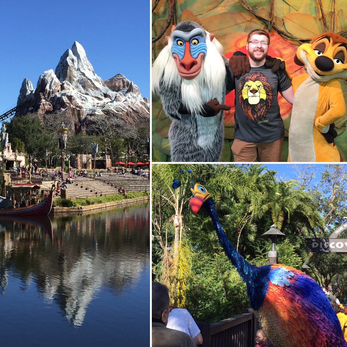 ramgrad04's tweet photo. #AnimalKingdom #WDW #ExpeditionEverest #UP #TheLionKing https://t.co/XjJzR6EzV9