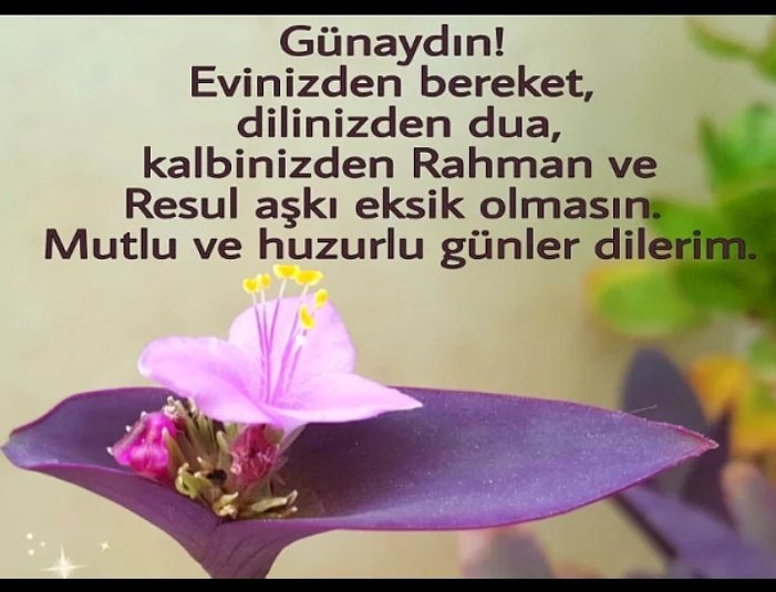 narbalk_p's tweet photo. @kom_ofis @AHMETTEKDEMR @DeliceSevmek3 @Zehra_Altunel1 @dogalsosyolog @TheLaikYobaz @AslanMelut @aylinus701 @571zey @blghn56 @AkZafer3 @AkHanm5 @semihkln22 @Abdulhamidim @ihsanemirgazili @HilalBo02946975 Eyvallah https://t.co/fLQiTI9ptu