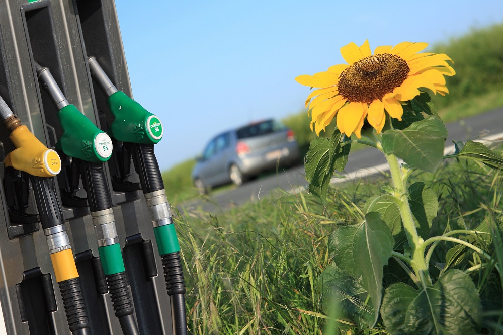 ici_officiel's tweet photo. Biocarburants : croissance record du superéthanol en France https://t.co/nwdGaDJRQr https://t.co/uUd68hxI8m