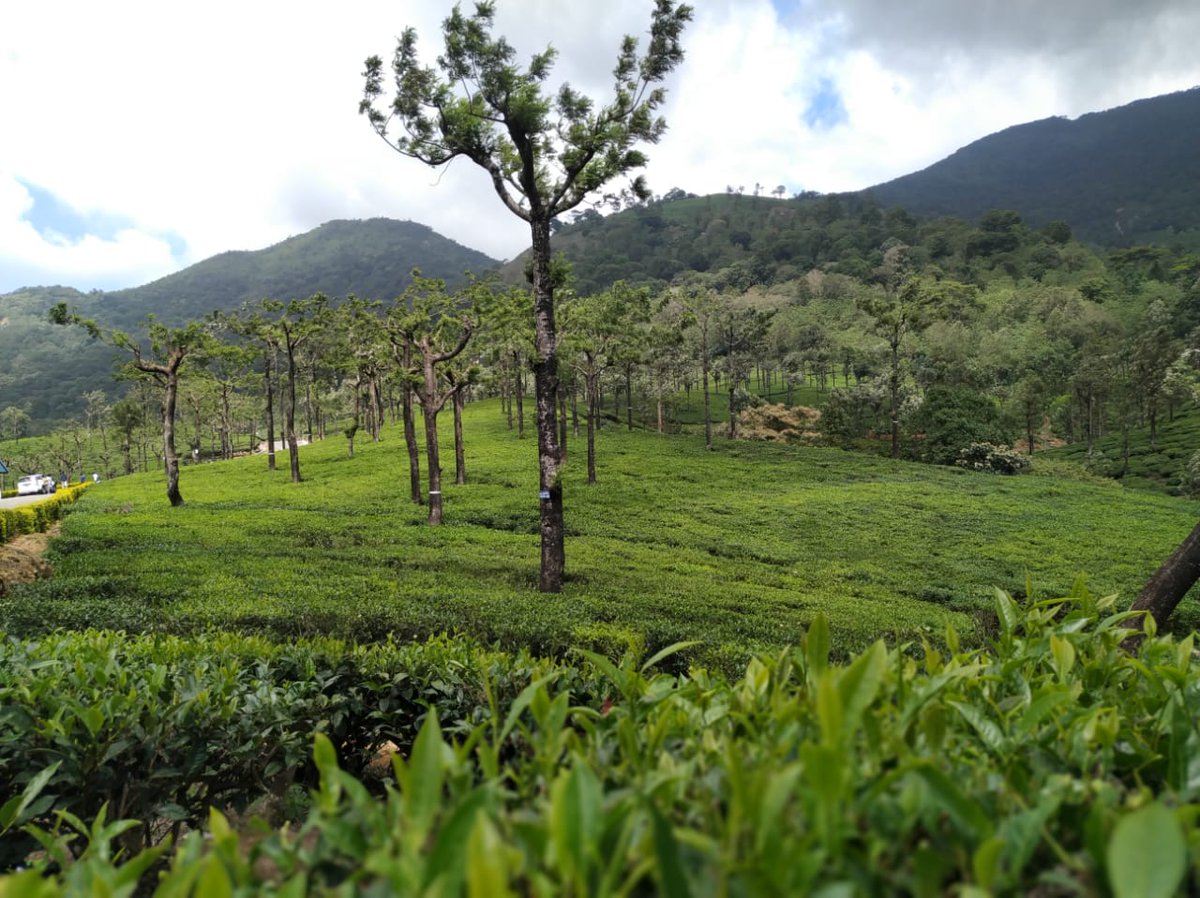 The Indian RoadTrip Cruisers (RTC) tweet media