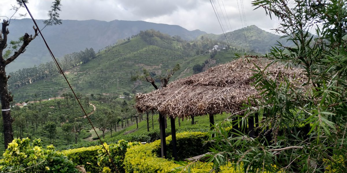 The Indian RoadTrip Cruisers (RTC) tweet media