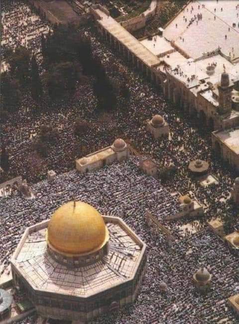doleserydelz's tweet photo. كيف لهذا الجمال ان يكون يهوديٱ
اللهم لا ترفع لليهود في القدس راية
ولا تحقق لهم في فلسطين غاية 
اللهم امين يارب العالمين🤲 https://t.co/XIKT2DVFjv