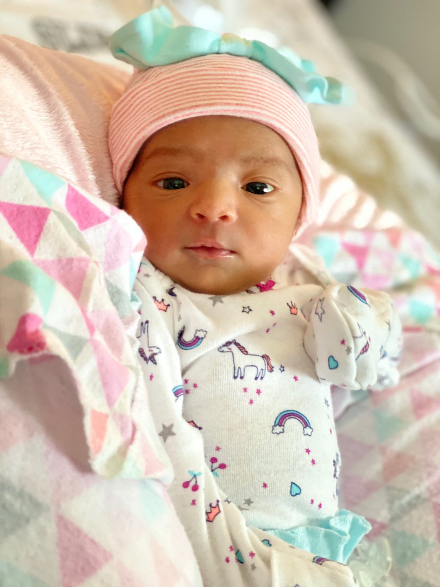 Jeff Petion tweet media