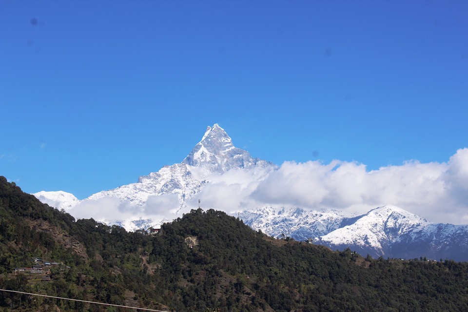 RepublicaNepal's tweet photo. Enchanting view of Mount Fishtail as seen from Annapurna rural municipality-1, Naudanda of Kaski. (Photo: Khemraj Gautam/ RSS)
#VisitNepal2020 #MtFishtail #Pokhara #BeautifulNepal #Nepal https://t.co/wXfQJE6vr2