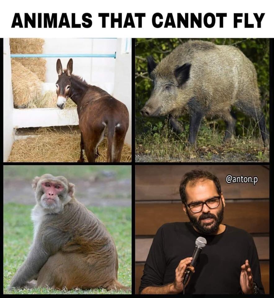 TejasKothari7's tweet photo. @kunalkamra88 #ArnabIgnoresBarkingDog https://t.co/ECYxl4sj1D