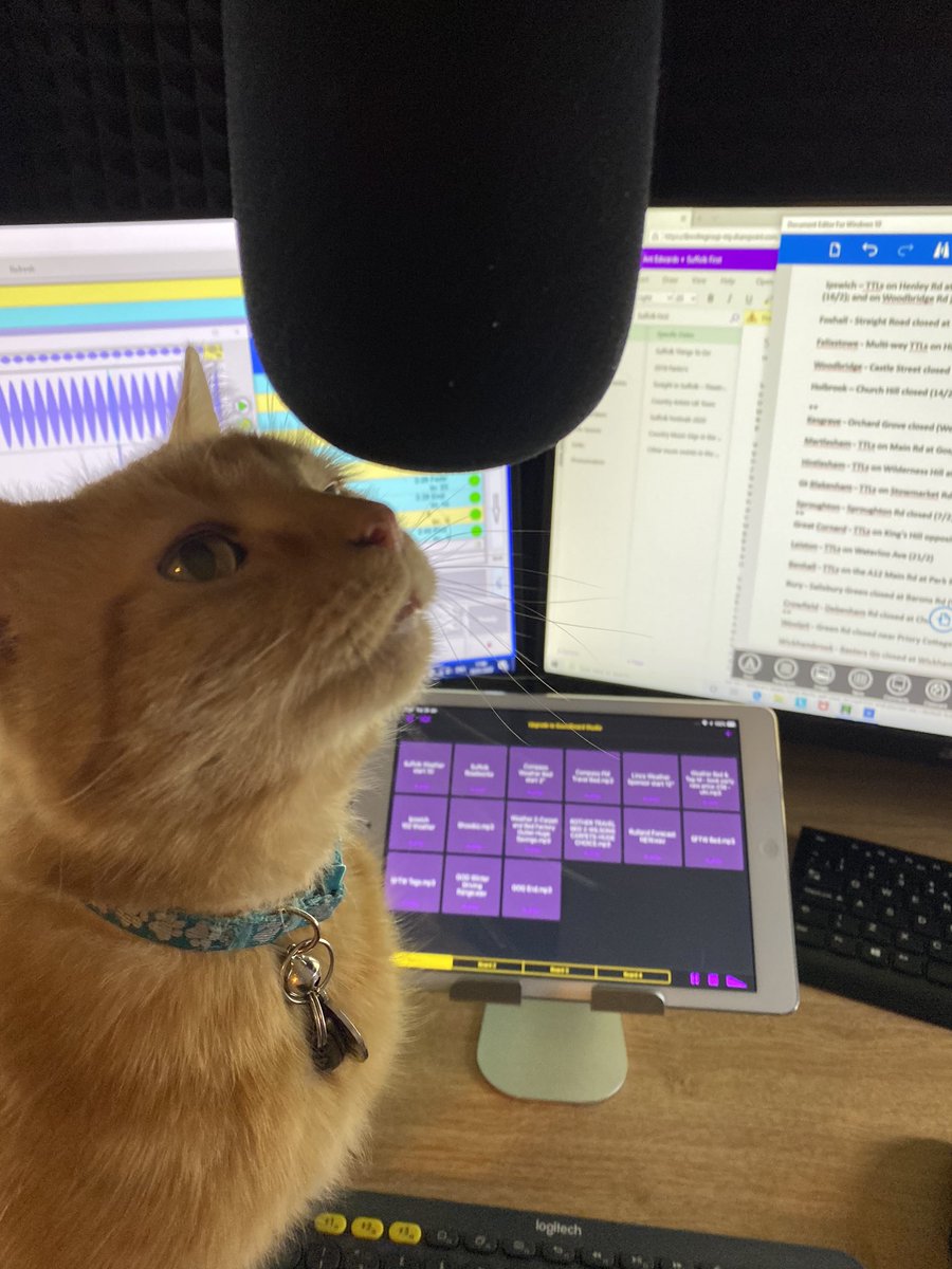 SuffolkFirst's tweet image. If I seemed a little distracted on air a few minutes ago, here’s the reason why...I had a visitor! My co-presenter this morning, George the Country Cat!!
