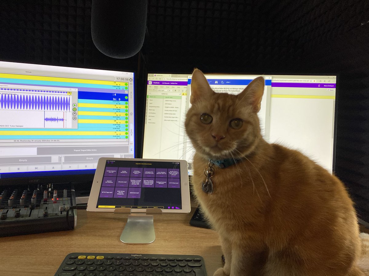 SuffolkFirst's tweet image. If I seemed a little distracted on air a few minutes ago, here’s the reason why...I had a visitor! My co-presenter this morning, George the Country Cat!!