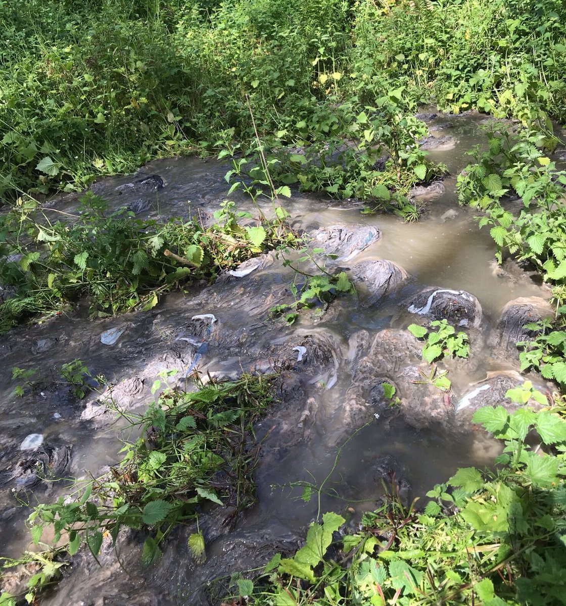 Northumbrian Water tweet media