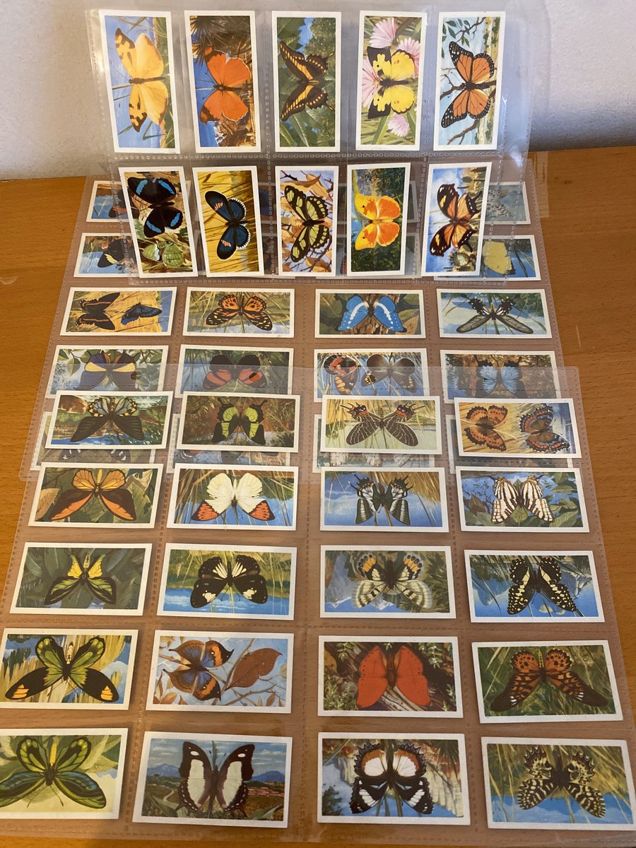 loveretrocrafts's tweet photo. Excited to share the latest addition to my #etsy shop: Butterflies of the world tea card // Freshwater Fish tea card // Features of the world tea card // Brooke Bond Picture Cards https://t.co/vzR5aPONSF #art #tradingcards #collectiblecards #teacard #loveretrocrafts https://t.co/XU9t5axxjJ