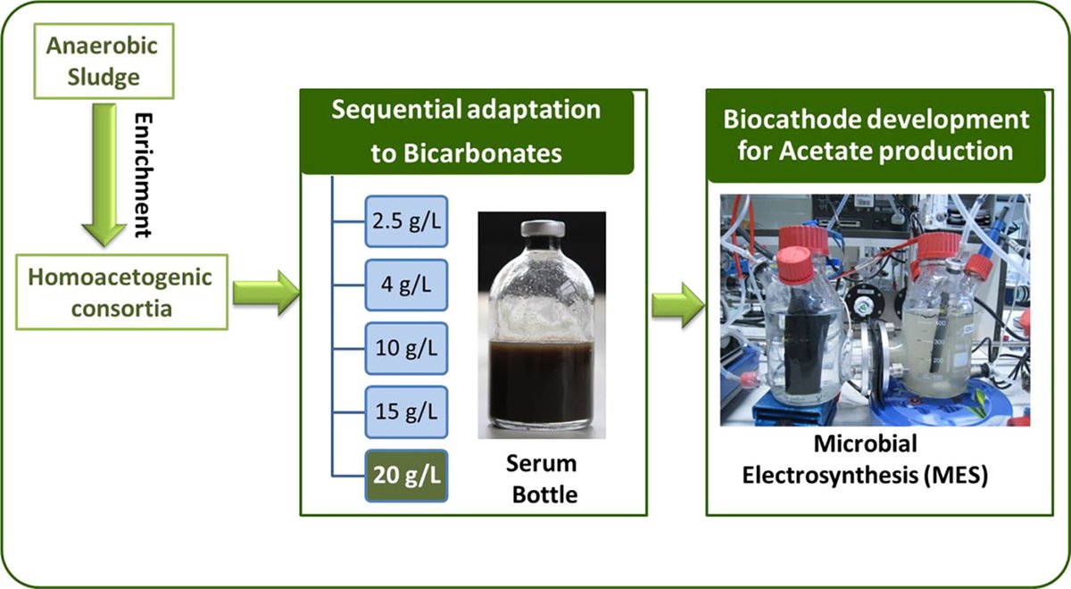 pantonline's tweet photo. The paper is published online- #MicrobialElectrosynthesis #Biocathode #Enrichment
This project @VITObelgium was supported by @MSCActions incoming fellowship to @gmohanak
https://t.co/rYx0zVRQaS https://t.co/9nxXXQgeCq