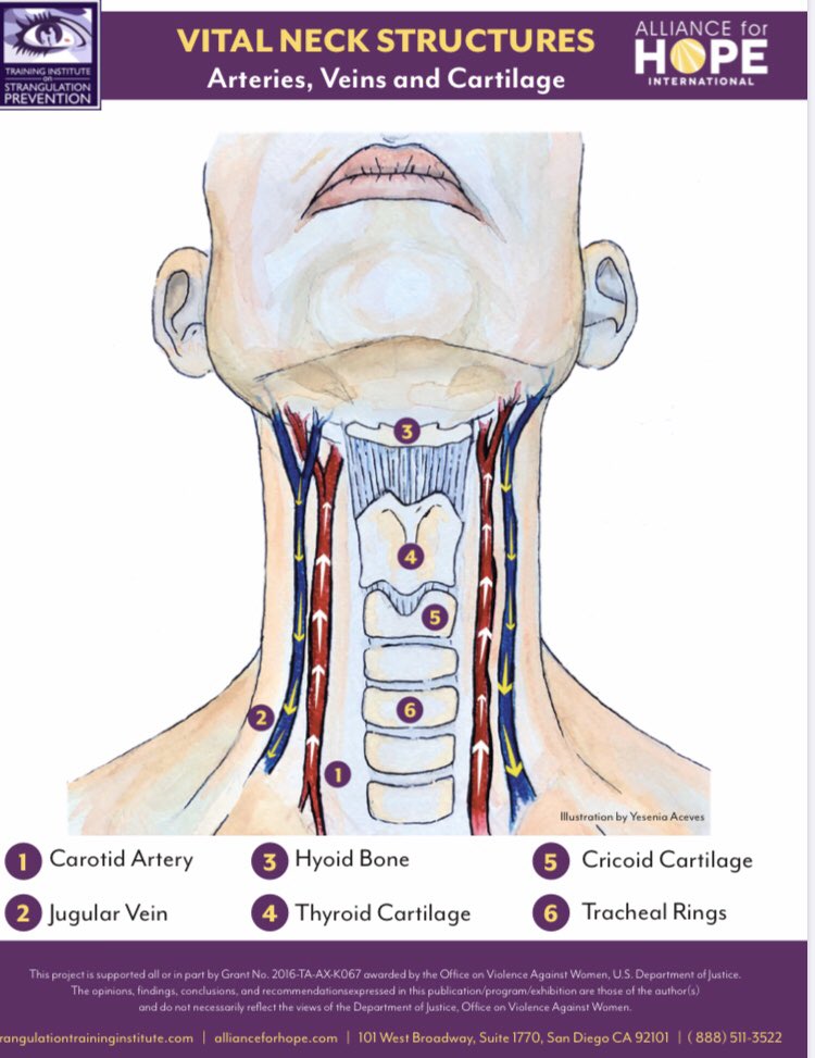 A Brief Anatomy of Strangling, Choke, and Triangle Techniques