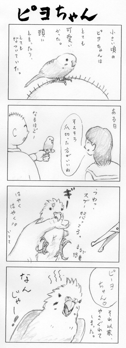 今日のまんが #マンガ  #4コマ  #インコ 