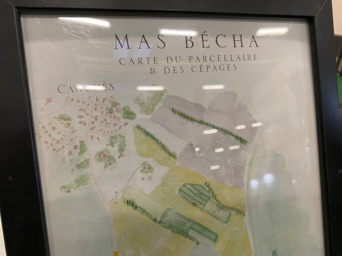 charles_perez's tweet photo. Dernier jour pour découvrir mes nouvelles cuvées du #masbecha ou des parcellaires ! RDV au Hall B3 Stand 601 ... #roussillon #millesimebio #millesimebio2020 #vinbio #organicwine https://t.co/FeWkKYW7uq