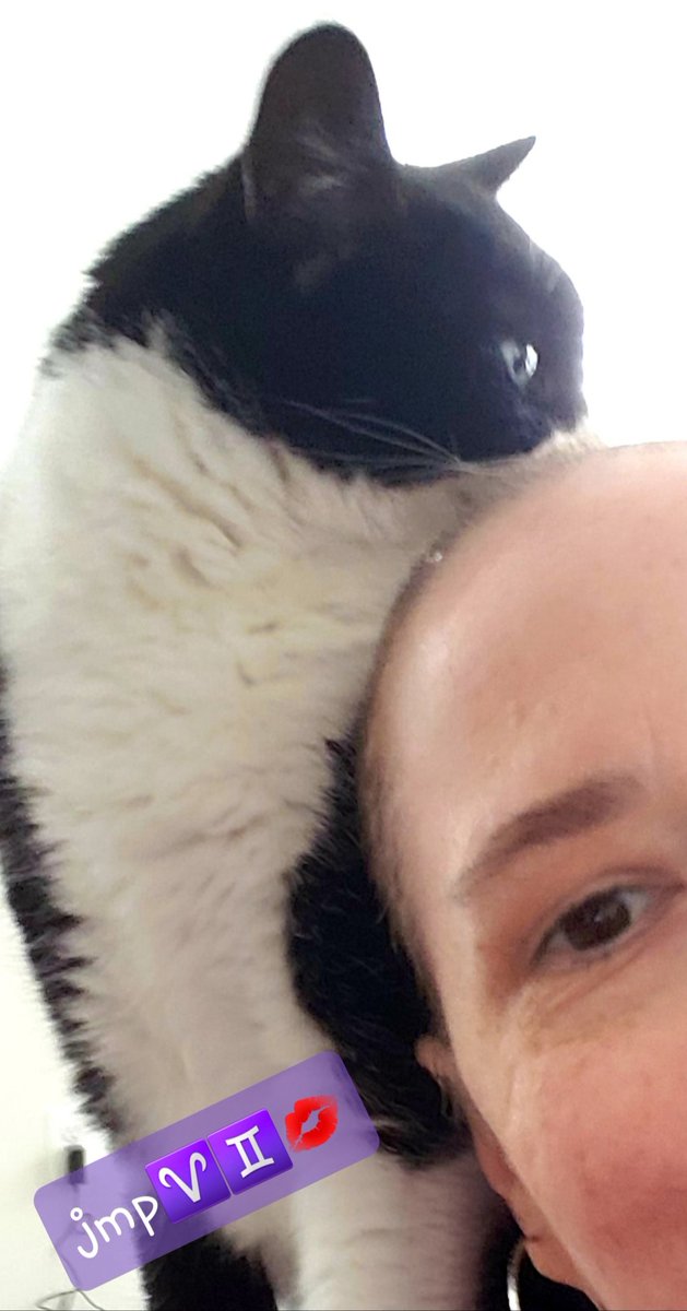 JustMePixie's tweet photo. Loki figuring out about my new hair situation lol
#MsDvaLoki
#ChemoDays u will not trip me up π€ well kinda
U r hell on wheels!!!
giving me extremely dry skin blotches on me face, stealing me hair!
TIRED!
But, I don't care in the end u will have served ur purpose π #chemo https://t.co/9UQcE0FQfN