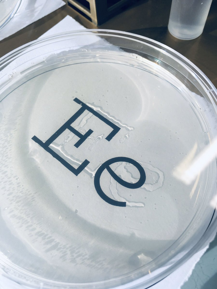 Margo_Cargo's tweet photo. Ça se développe ! la suite de l'atelier micro-organismes ! bientôt 2 nouvelles fonts : la version fungi du Faune et du BioRhyme #typography #graphism #science #faune #biorhyme #font https://t.co/le9m6S3LQ5