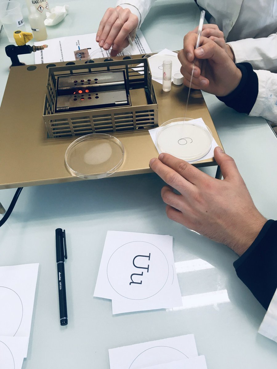 Margo_Cargo's tweet photo. Ça se développe ! la suite de l'atelier micro-organismes ! bientôt 2 nouvelles fonts : la version fungi du Faune et du BioRhyme #typography #graphism #science #faune #biorhyme #font https://t.co/le9m6S3LQ5