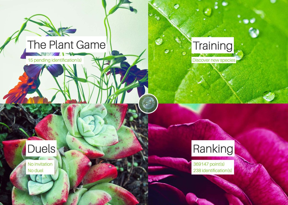 PlantNetProject tweet picture